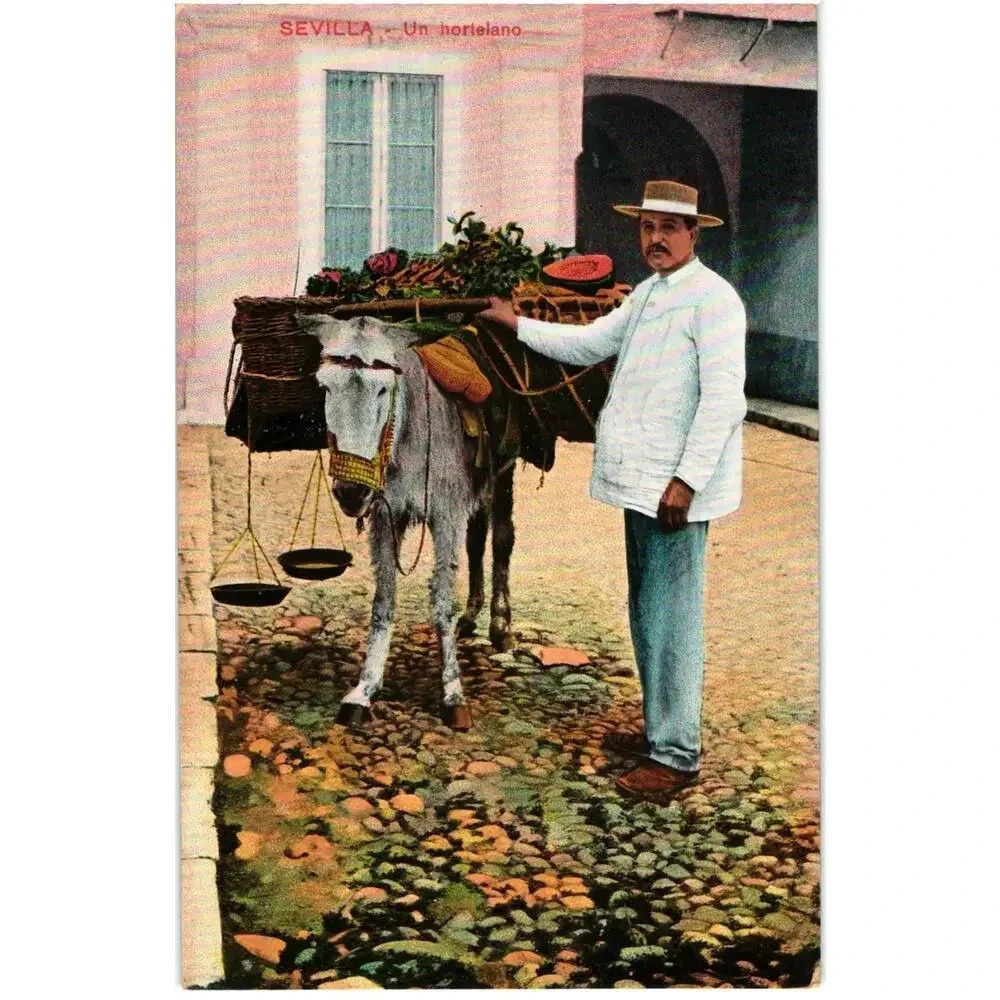 Sevilla Un Hortelano Spain Postcard